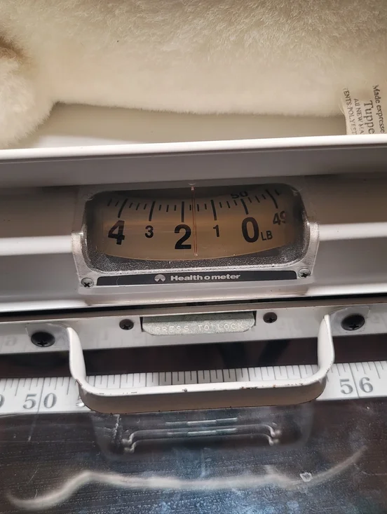 1980s Tupperware "Tuppy the Seal" Exclusive. Set Of 2 - Picture 10 of 12